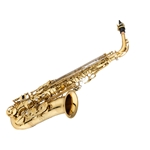 Eastman EAS650 Professional Eb Alto Saxophone