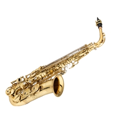 Eastman EAS650 Professional Eb Alto Saxophone